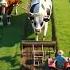 The Farmer And His Faithful Cow Youtube Youtubeshort Viralshort Ai
