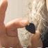 Kirk Hammett Metallica Show Me Your Pick
