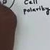 Video Abstract How Do Cells Position Liquid Droplets