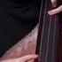 Alexander Muravyev Space Of Bass For Double Bass Solo Doublebass Fingerstyle