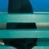 Boz Scaggs Lowdown Extended Mix