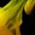 The Sysiphians Ghouls Ghosts
