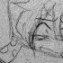 Dead Girl Walking Reprise Heathers Animatic