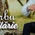 Florin Sârbu Visul Din Copilărie