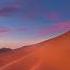 DESERT SAND Free Beats You Can Use For Profit WILD HARD AFROTRAP TYPE BEAT
