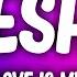 Kesha Your Love Is My Drug Lyrics