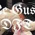 Me Gusta By DTF Speed Up