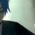 Tyler Dream Eating Monochrome Baku English Demo Ver