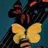 Charlie Byrd Homage To Charlie Christian