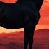 The Last Rider Dark Country Rock