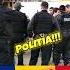 PRICOALE MOLDOVENESTI POLITIA