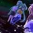 Higurashi No Naku Koro Ni Dear You COVER LauryUchiha