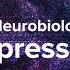 How Depression Affects The Brain Yale Medicine Explains