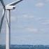 GREEN SCAM IS OVER Wyoming Senator Touts Trump S Nuclear Energy EO