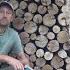 Power Station For Clay Log Mysticism In The Wild Forest