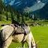 Kashmir The Paradise Trending Ytshorts Kashmir Music Shortvideo