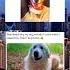 Heartwarming Dog Moments That Will Melt Your Heart DogLover CuteDogs Heartwarming