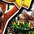 Bad Crash Bandicoot Flash Games Gillythekid Ft Caddicarus