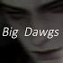 Hanumankind Big Dawgs Slowed Reverb Bass Boosted Visualized