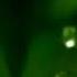 Nokia Video Ringtone Nature