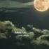 Mere Mahaboob Qayamat Hogi Trending Shorts Sanam Lyricalboom Sanam Lyrics Music Reels