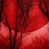 MORBID M3CHANICS Psychological Warfare Electronic Metal Metalstep Instrumental