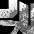 New Scaw War Music Decaying Winter