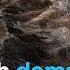 How Much Has The US Really Damaged Iran S Nuclear Capabilities DW News