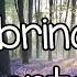 Seamless With Lyrics Sabrina Carpenter
