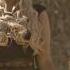 Daenerys Viralvideo Viralshorts Youtubeshorts Trending Shorts Gameofthrones Video Edit