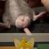 Dancing Rat Vs Assasin Tails Shorts Tails Funny Memes