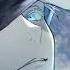 Nightcore Rizzle All I Wanted Cover Lyrics
