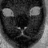 Mr Kitty Destroy Me X Mother Mary Mashup 1 Hour Loop