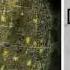 Dance Gavin Dance The Robot With Human Hair Pt 3