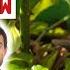 Watering Pepper Plants When To Water And When Not To In Depth Guide