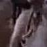 Western Five Guns West 1955 Cowboy