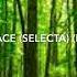 Anda Adam Ce Ți Aș Face Selecta Ft Alex Velea Invers