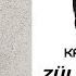 Leylim Ley KARAOKE Cover Mi Karar Karaoke Cover özgünmüzik Zülfülivaneli