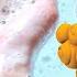 The Hand Washing Song W Bubble Guppies Stay Home WithMe Noggin Originals Bubble Guppies