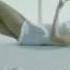 Dan Balan I Vera Brezhneva Lepectkami Clez 2010 XviD DVDRip Core Avi