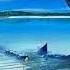 Bassrockerz Show Me Your Love Eurodance 8kMinas