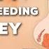 Simplifying Breastfeeding With IBCLC Andrea Syms Brown