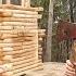 We Built A Tiny Log Cabin