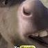 Why Donkey In Shrek Has Over 1 000 Facial Expressions