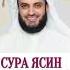 сура ясин шейх Мишари Рашид Аль Афаси красивое чтение коран коран сура аят Quran Sura Alafasy