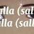 Sezen Aksu Rakkas Lyrics