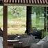 The Well Thought Designs Of Architect Matthew Ridge Designing Dreams Luxury Living