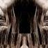 Armin Van Buuren Vs Vini Vici Feat Hilight Tribe Great Spirit