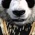 Desiigner Panda Slowed Down