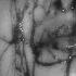 ASMR Amazing Sado Masochistic Reality